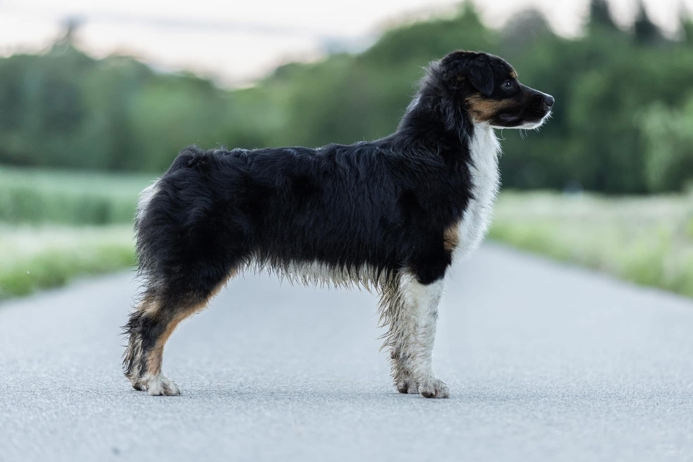 Solar Spectrum Too good to be true