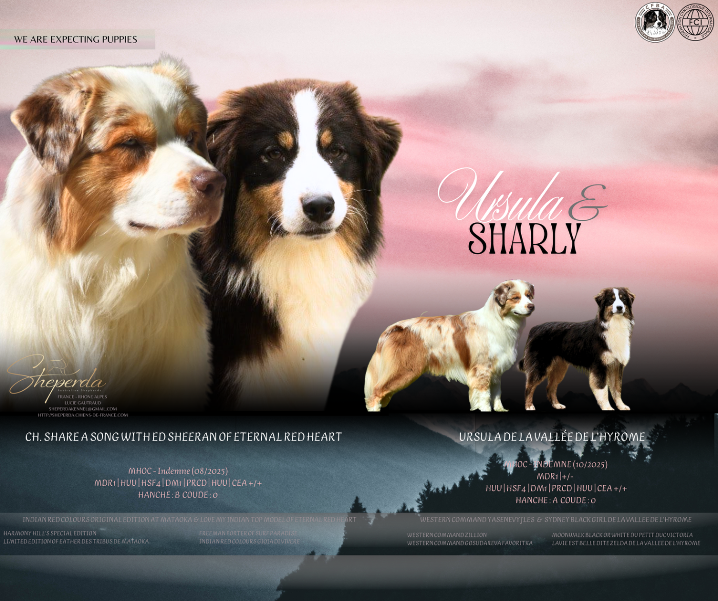 Ursula & Sharly 2025