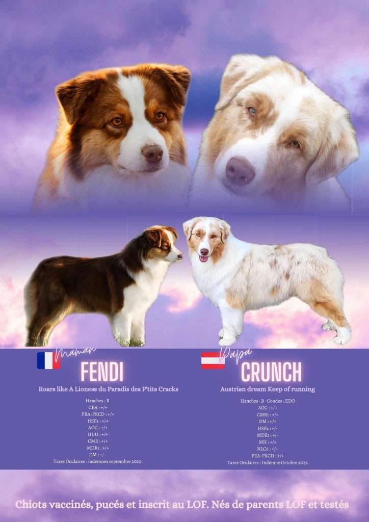 Fendi  x  Crunch